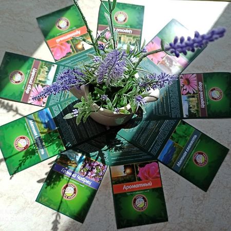 Lavender Apartman Hévíz Kültér fotó