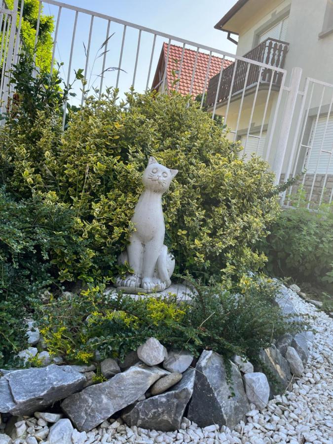 Lavender Apartman Hévíz Kültér fotó